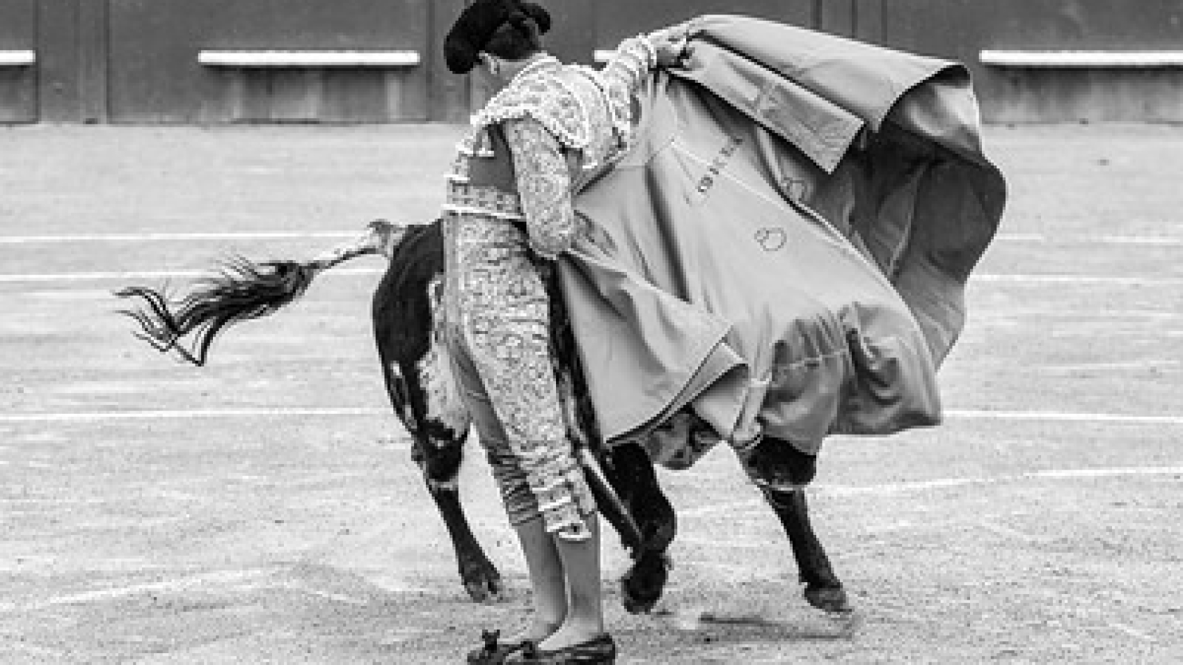 55202010806_f5c3ff83d6_w