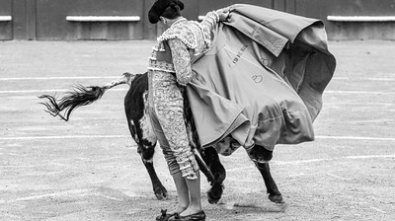 55202010806_f5c3ff83d6_w