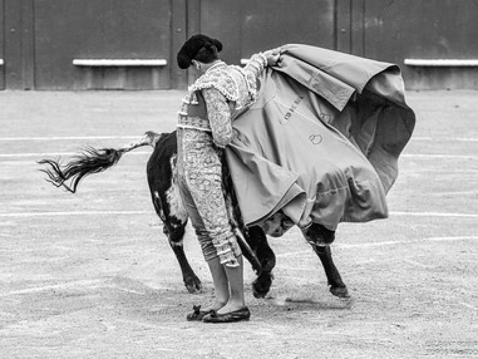55202010806_f5c3ff83d6_w